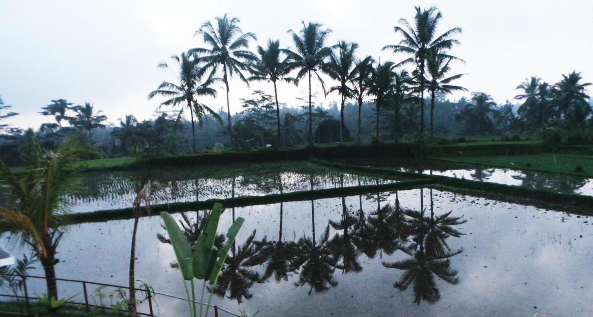 Villa Kemuning Tegallalang  Phòng bức ảnh